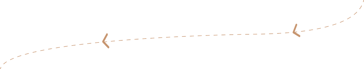 Navigation Line