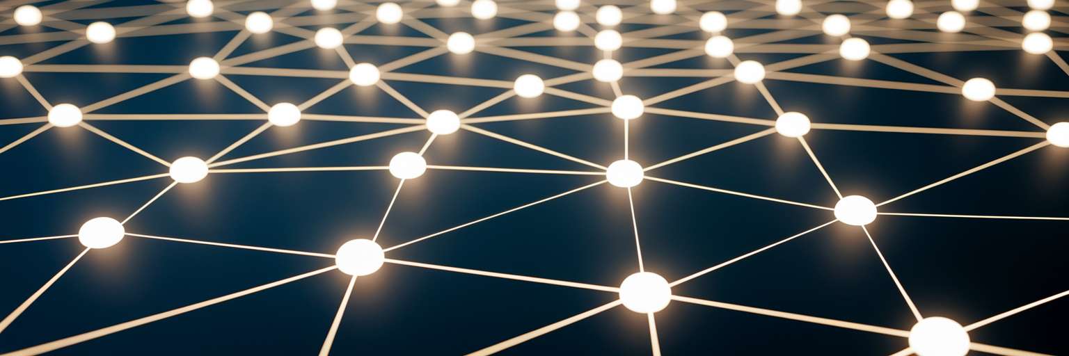 Organized network of connected content nodes.